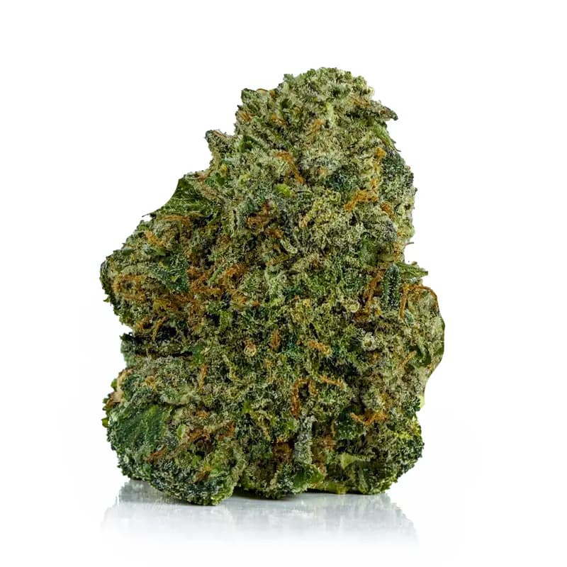 RAINBOW KUSH