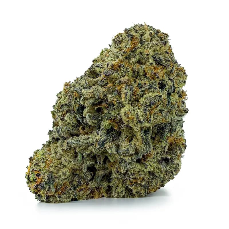 KHALIFA KUSH