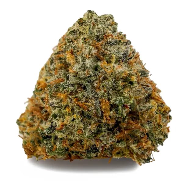 PURPLE PUNCH