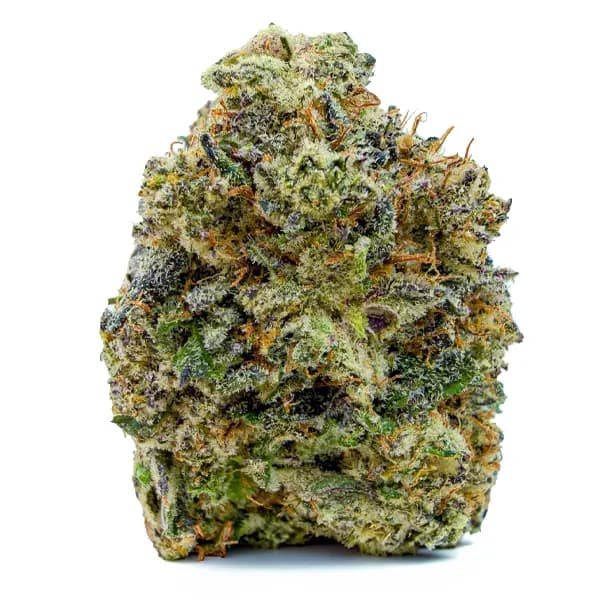 MENDO KUSH