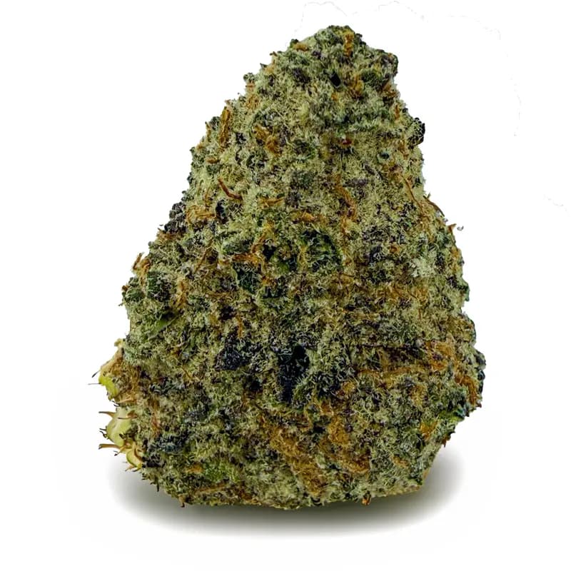 LEMON CHERRY GELATO