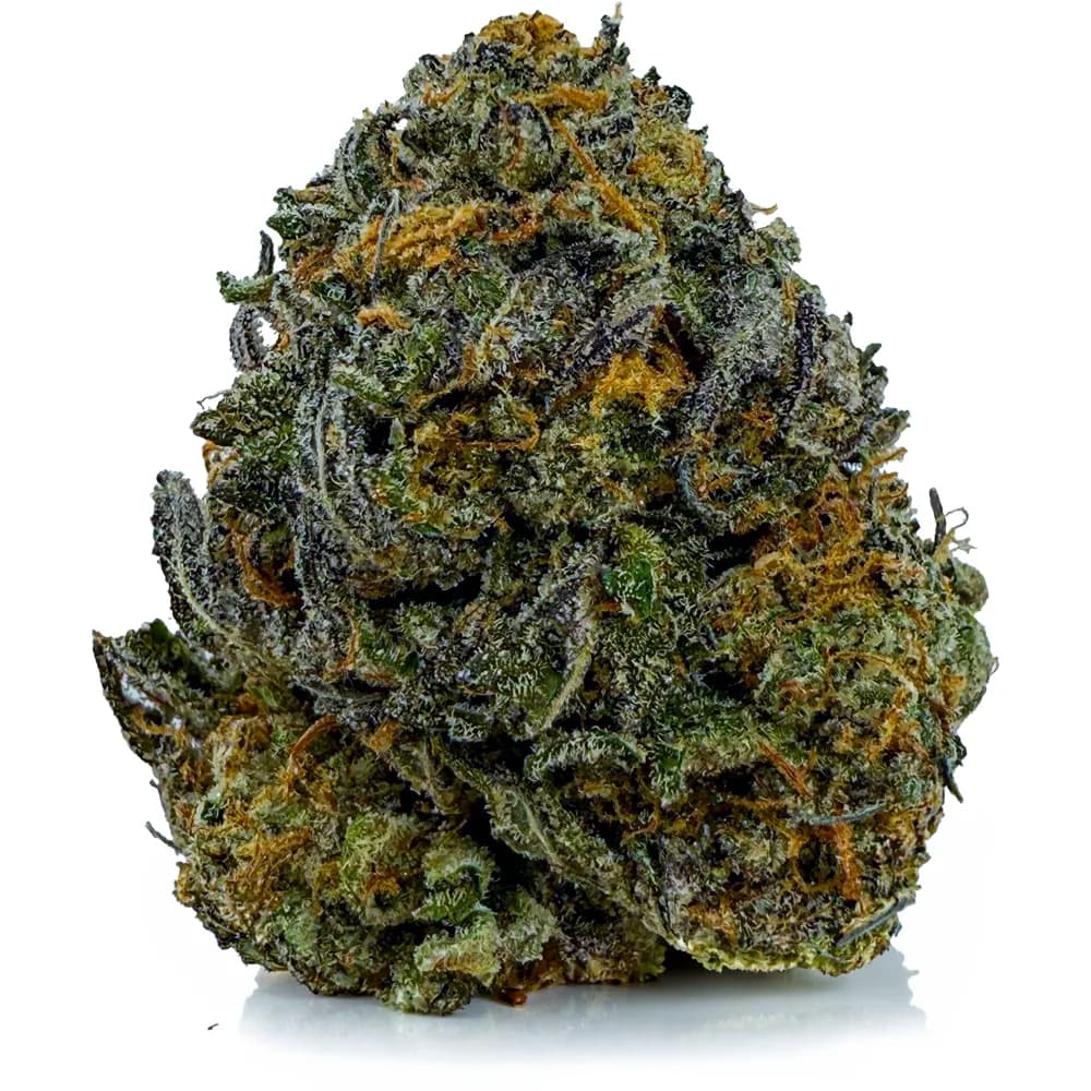PINK ATOMIC BOMB